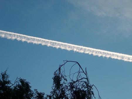 Ciel